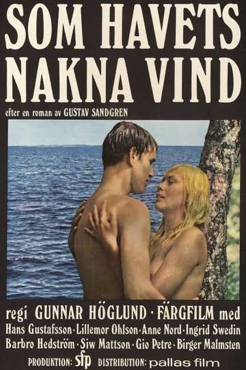 One Swedish Summer Poster