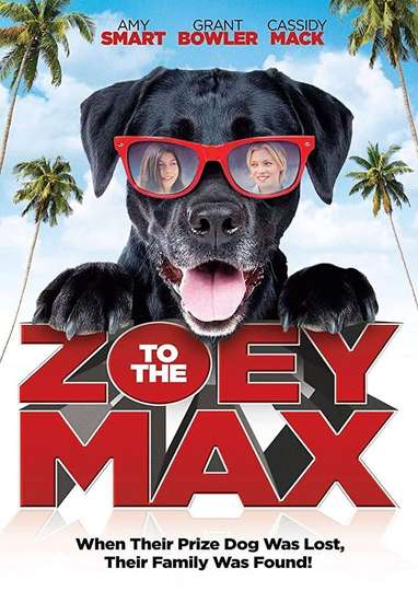 Zoey to the Max Poster