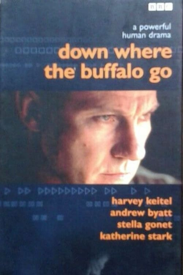 Down Where the Buffalo Go Poster