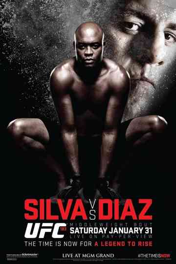 UFC 183 Silva vs Diaz