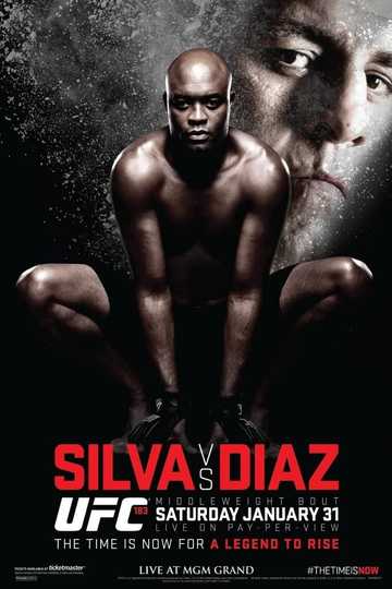 UFC 183 Silva vs Diaz Poster