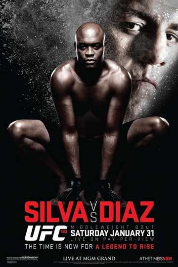 UFC 183 Silva vs Diaz