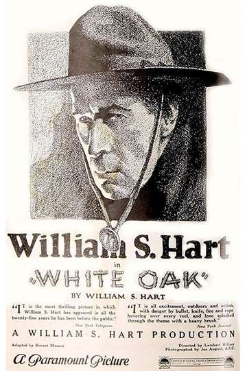 White Oak Poster