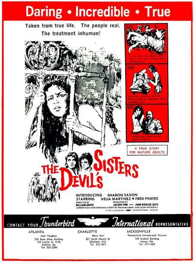 The Devils Sisters Poster