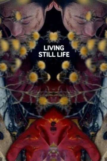 Living Still Life Poster