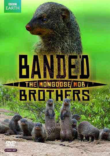 Banded Brothers: The Mongoose Mob Poster