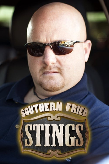 Southern Fried Stings Poster