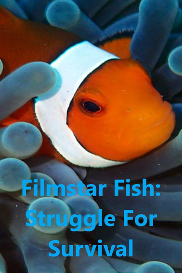 Filmstar Fish Struggle For Survival