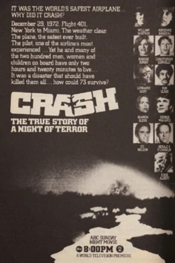 The Crash of Flight 401 Poster