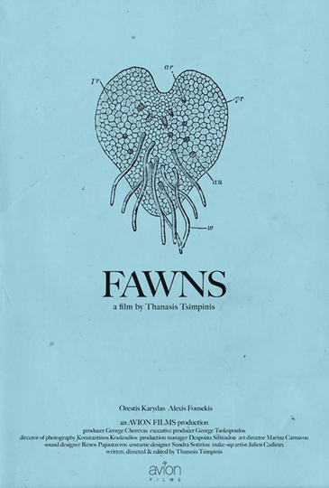 Fawns Poster