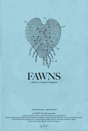 Fawns