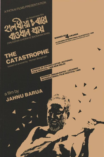 The Catastrophe Poster