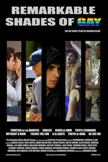 Remarkable Shades of Gay Poster
