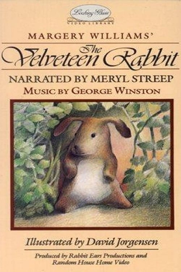 Little Ears The Velveteen Rabbit