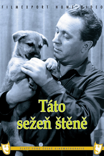 Táto sežeň štěně Poster