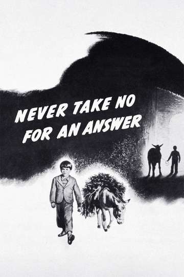 Never Take No for an Answer Poster