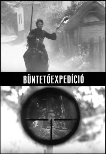 Punitive Expedition