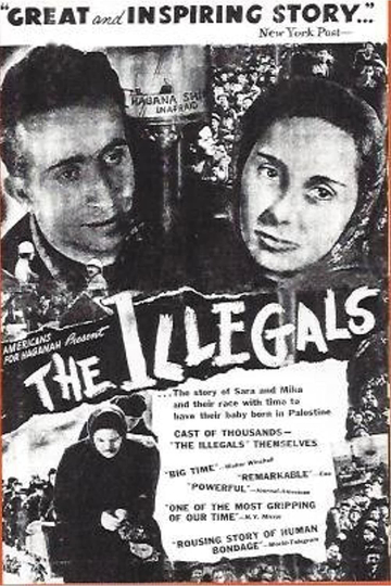 The Illegals Poster