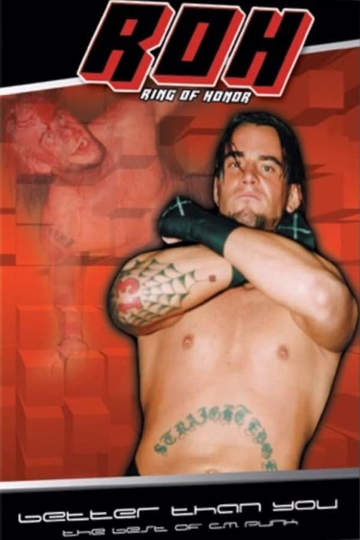 The Best of CM Punk Vol 1 Better Than You