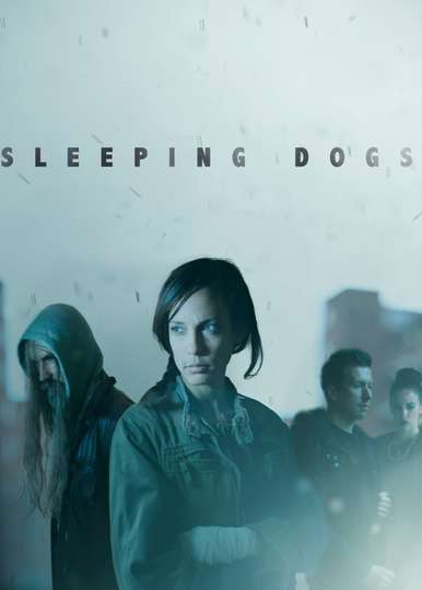 Sleeping Dogs Poster