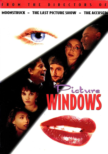 Picture Windows Poster