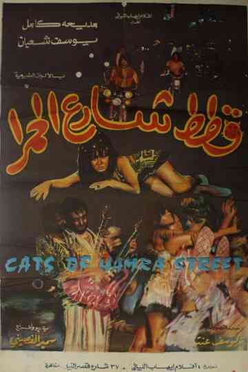 Cats of Hamra Street