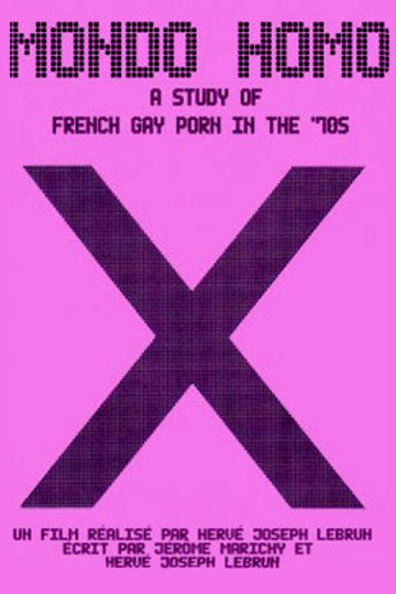 Mondo Homo Inquiry Into 70s Gay French Porn