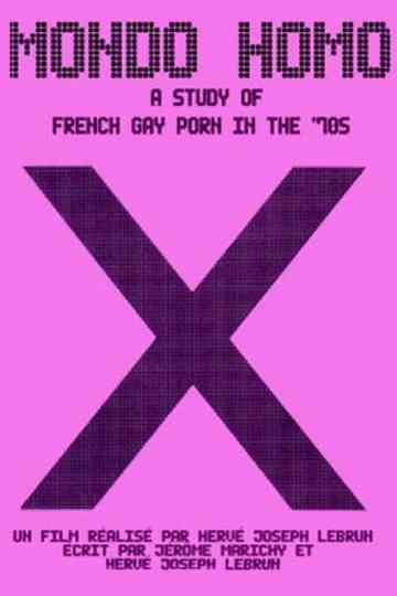 Mondo Homo: Inquiry Into 70's Gay French Porn