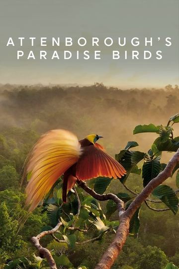 Attenboroughs Paradise Birds Poster