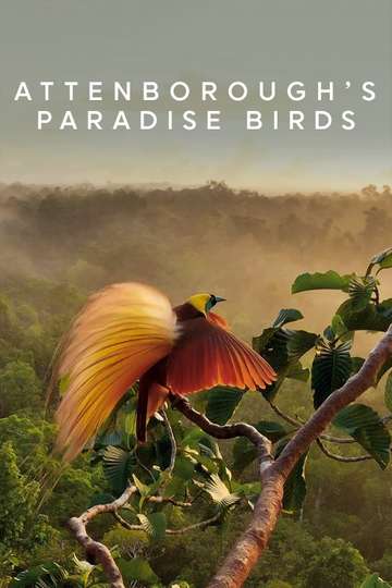 Attenboroughs Paradise Birds
