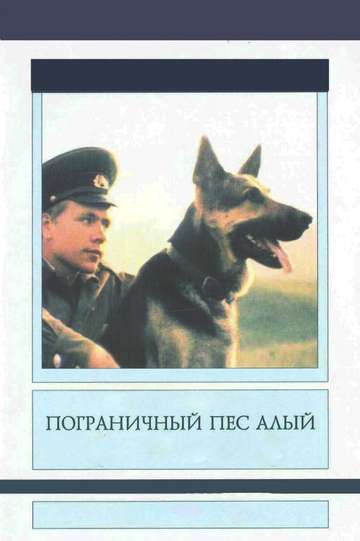 Border Dog Scarlet Poster