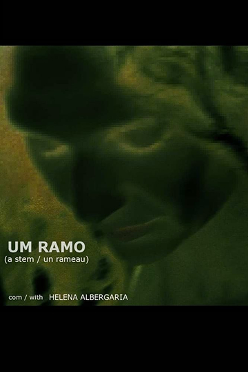 Um Ramo Poster