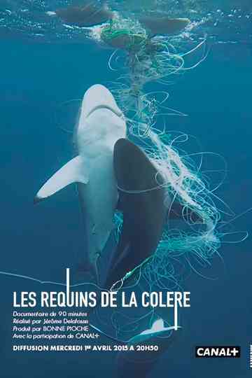 Les Requins de la Colère poster