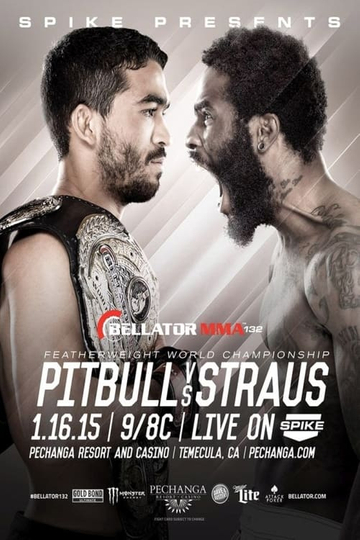 Bellator 132 Pitbull vs Straus 2