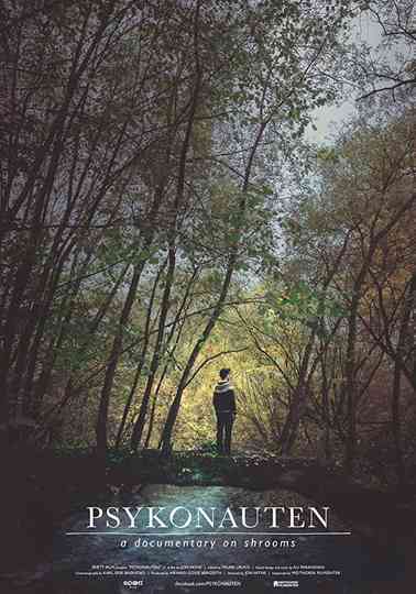 The Psychonaut Poster