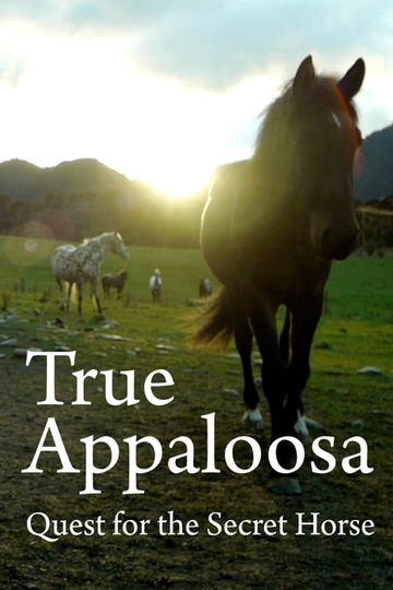 True Appaloosa Poster