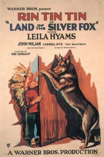 Land of the Silver Fox Poster