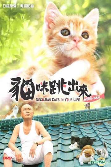 NecoBan Cats in Your Life Poster
