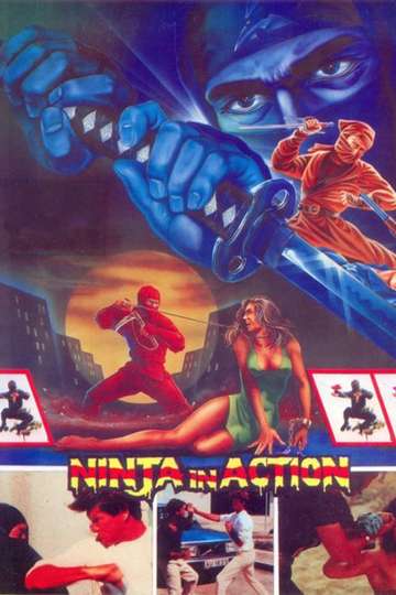 Ninja in Action Poster