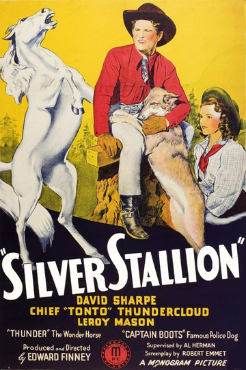 Silver Stallion Poster