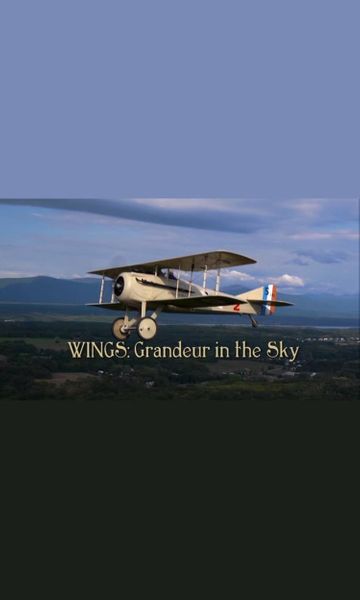 Wings: Grandeur in the Sky Poster