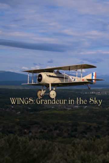 Wings Grandeur in the Sky