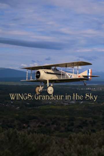 Wings Grandeur in the Sky Poster