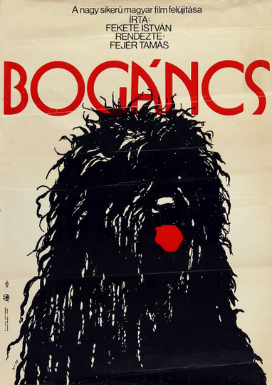 Bogáncs