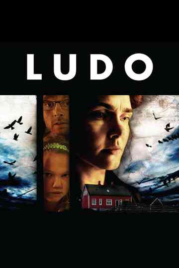 Ludo Poster