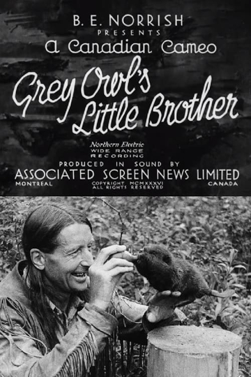 Grey Owls Little Brother Poster