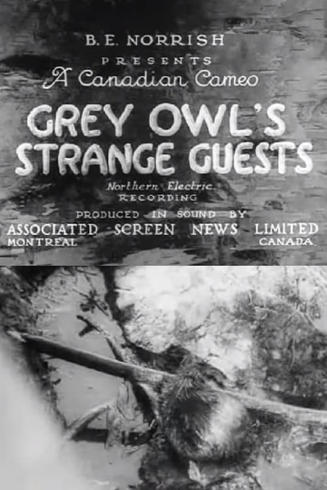 Grey Owls Strange Guests Poster