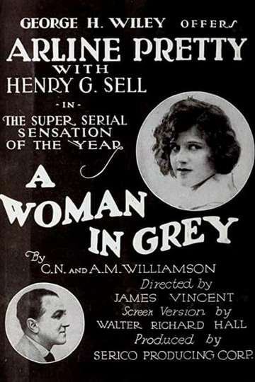 A Woman in Grey Poster