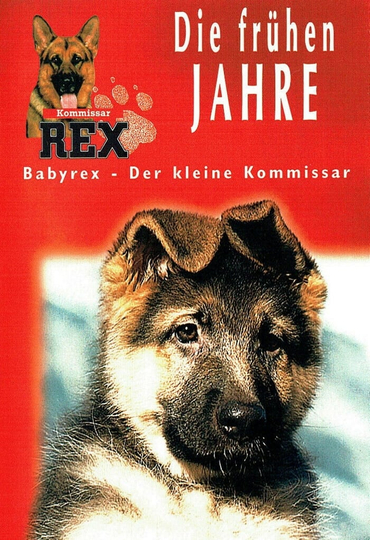 Baby Rex Poster