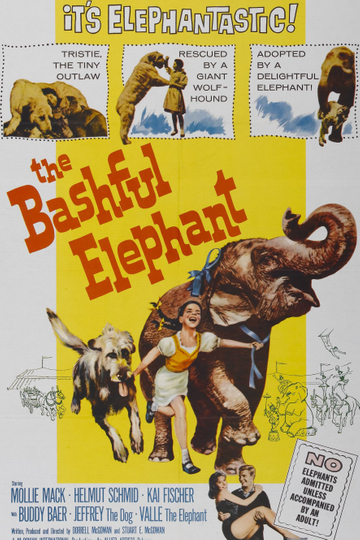 The Bashful Elephant Poster